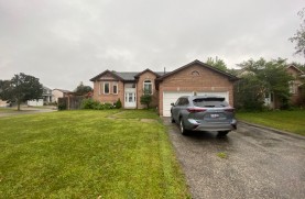 71 McArthy, Lower
