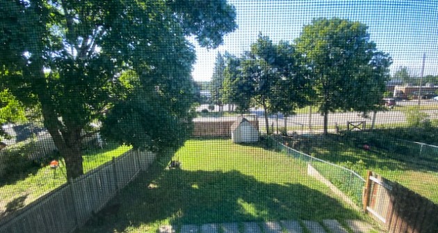 83 Daphne, Upper