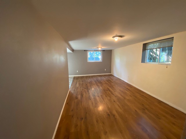 43 Browning, Lower