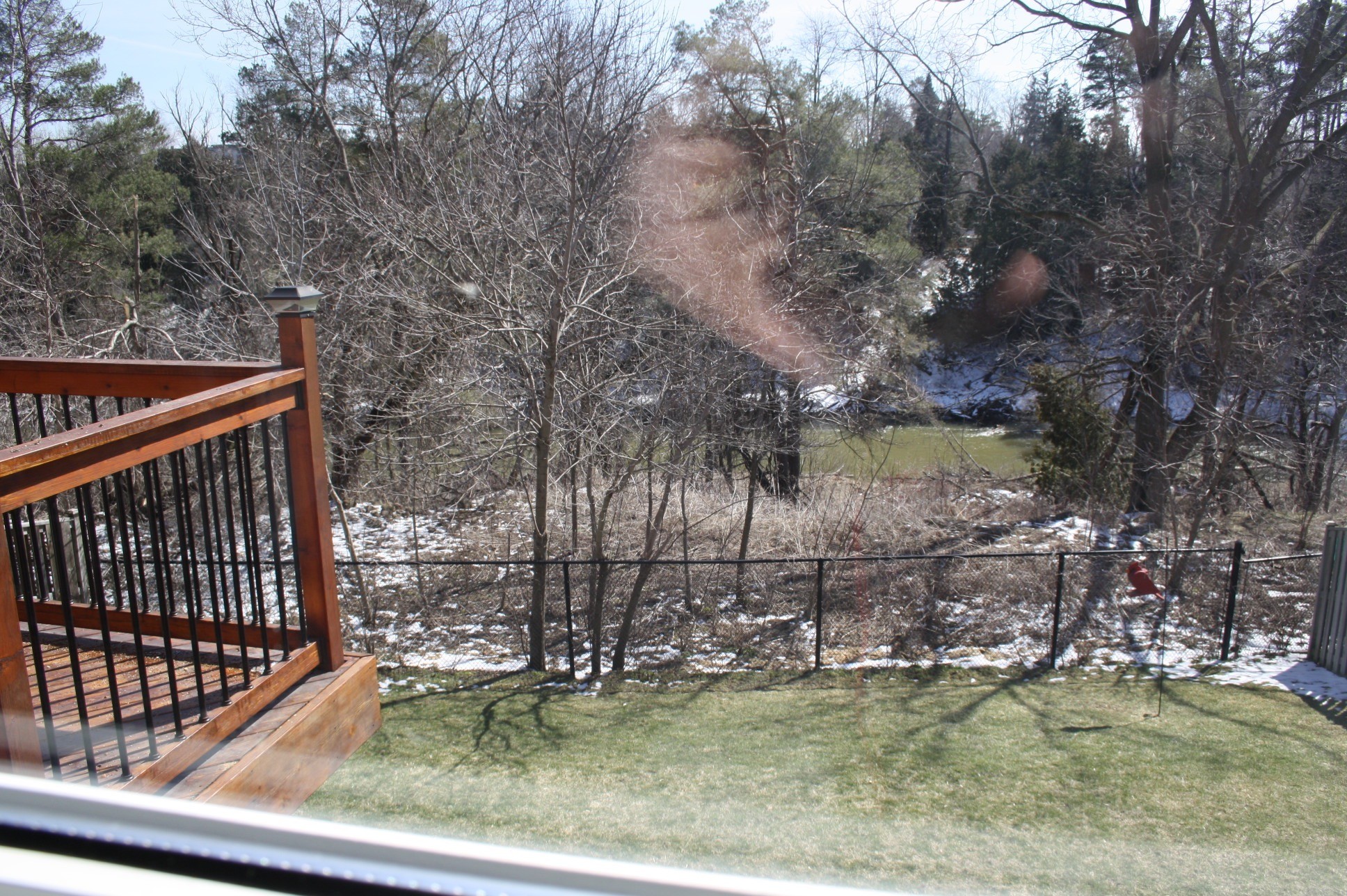 135 Buchanan Dr.