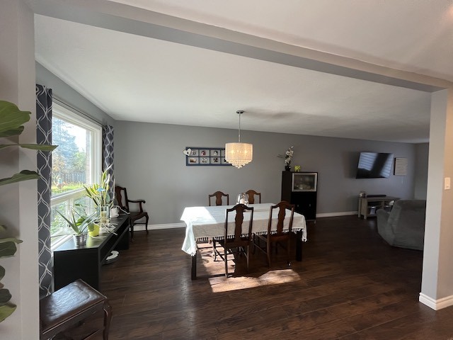 8 McCarthy cres