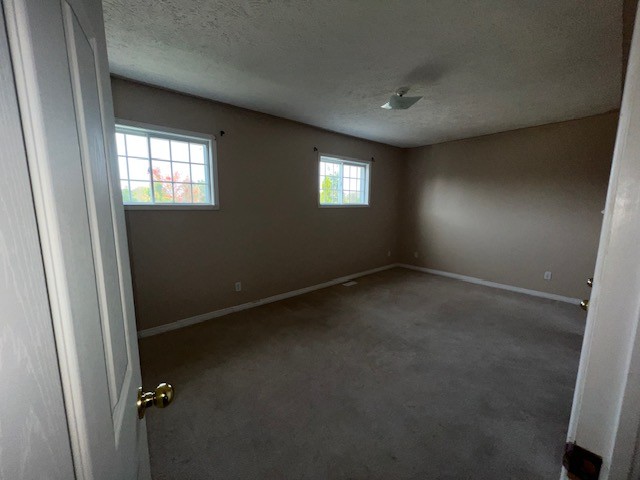388 Irwin St